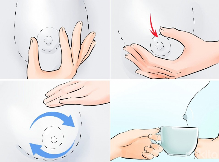hướng dẫn vắt sữa bằng tay