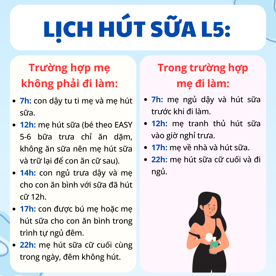 lich-hut-sua-l5-la-gi