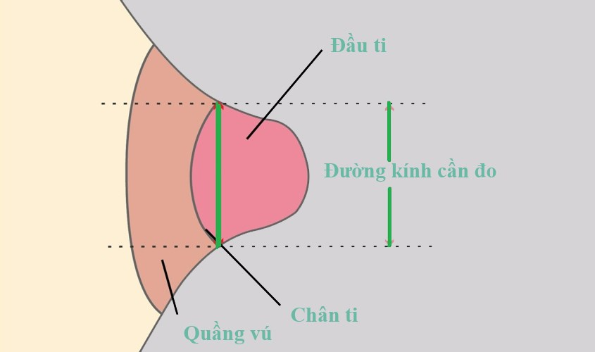 cach-chon-size-pheu-hut-sua-1