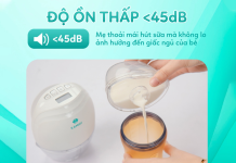 Kamidi Queen 1 có ồn không? Độ ồn khoảng bao nhiêu dB? kamidi-queen-1-co-on-khong